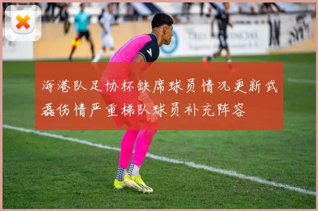海港队足协杯缺席球员情况更新武磊伤情严重梯队球员补充阵容